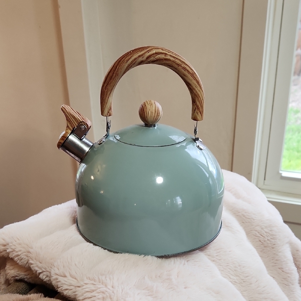 Elegant Light Blue Kettle with Wooden Handle